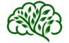 Sylwia Skowron Psycholog | spec. Psychodietetyki